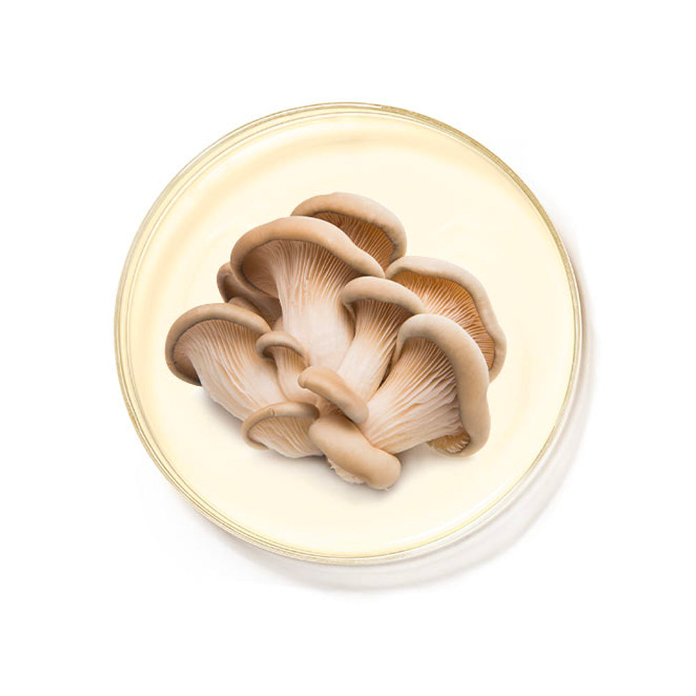 AquaBoost Moisturizer